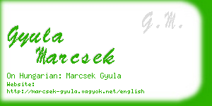 gyula marcsek business card